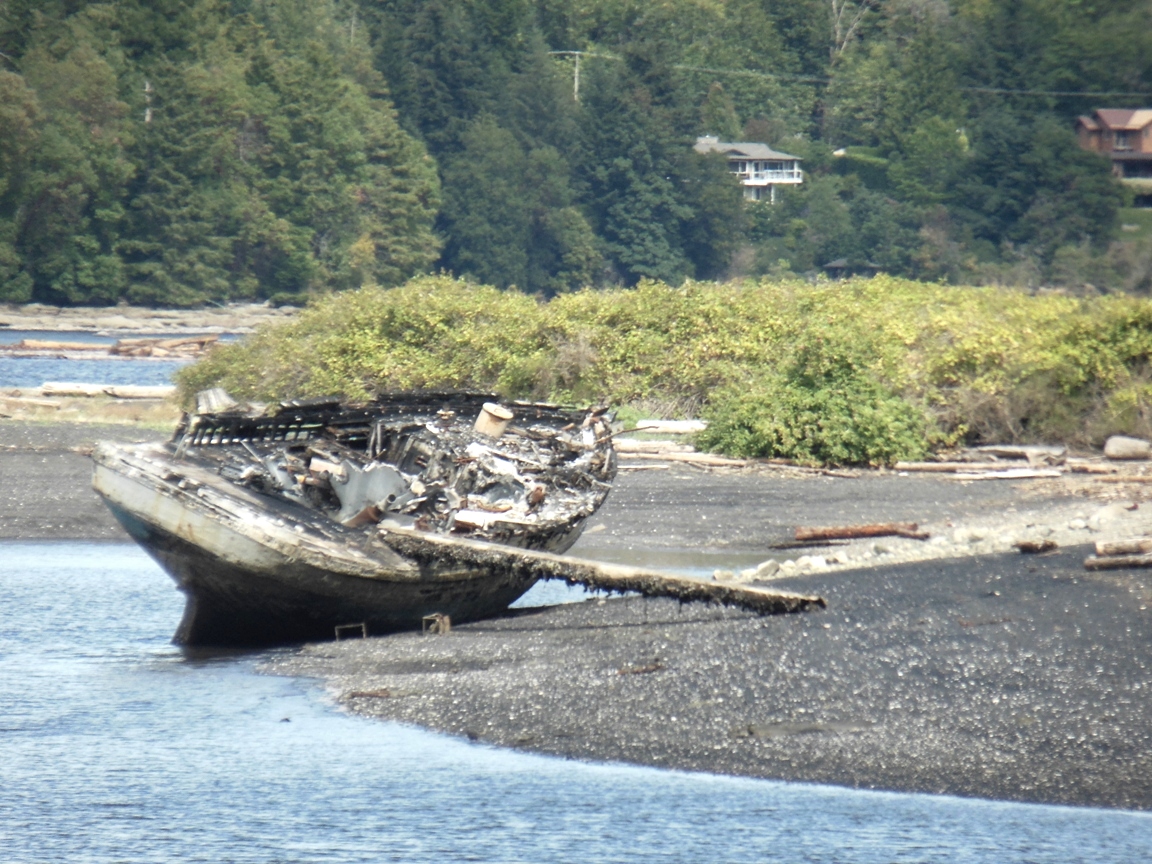 Ladysmith2