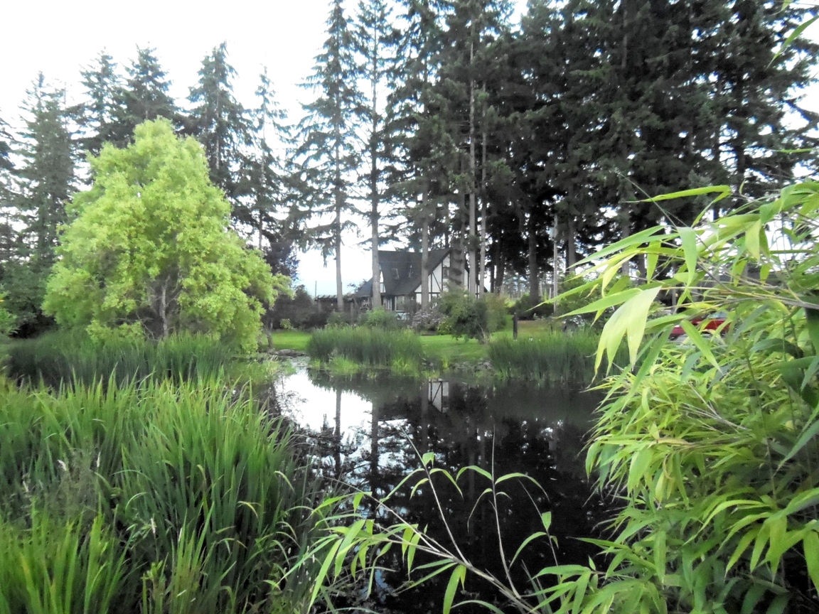 Ladysmith3