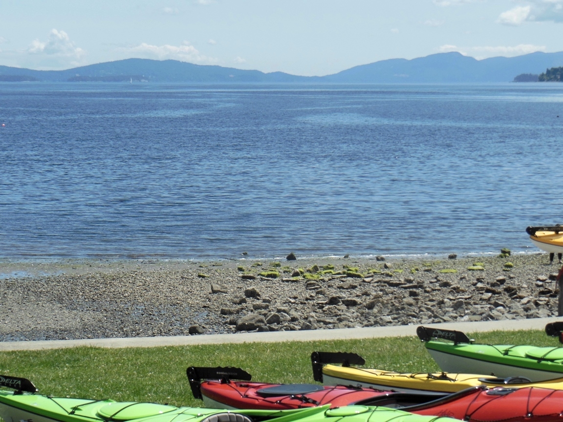 Ladysmith6