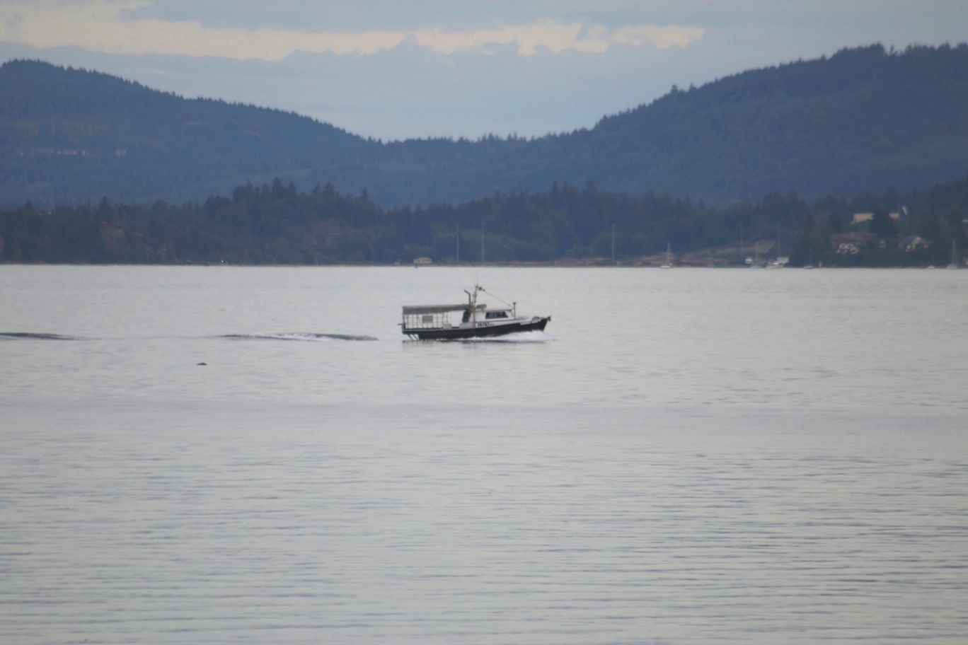 Ladysmith8