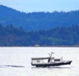 Ladysmith