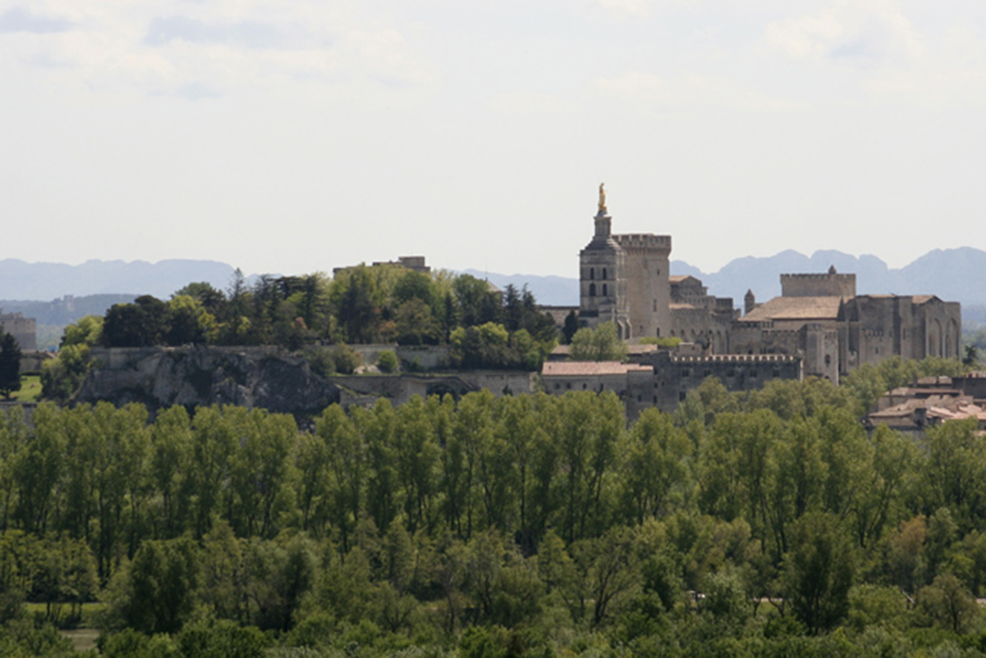 Avignon View