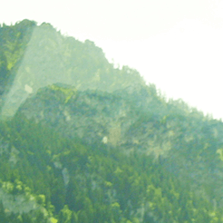 Munich