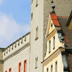 RBurg