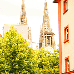 RBurg