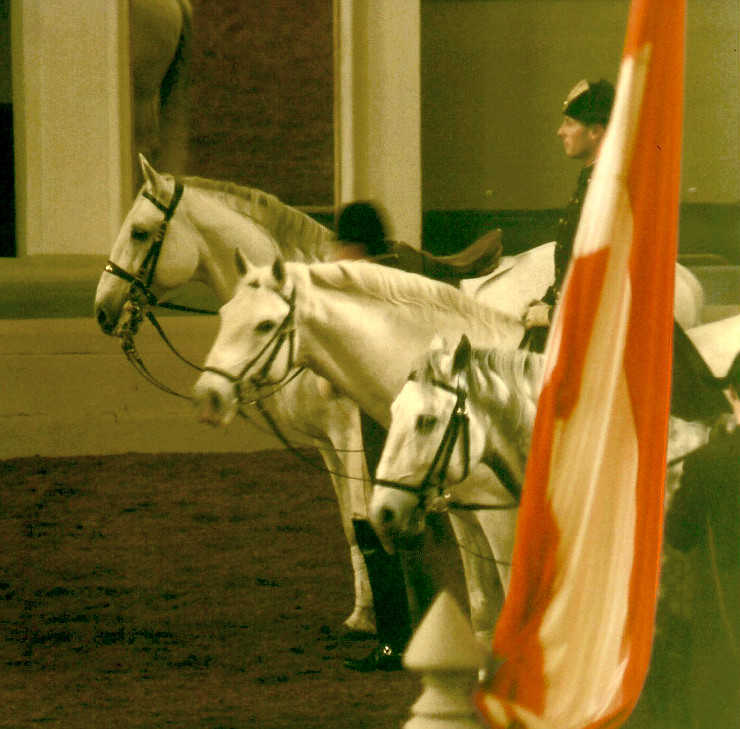 Vienna02