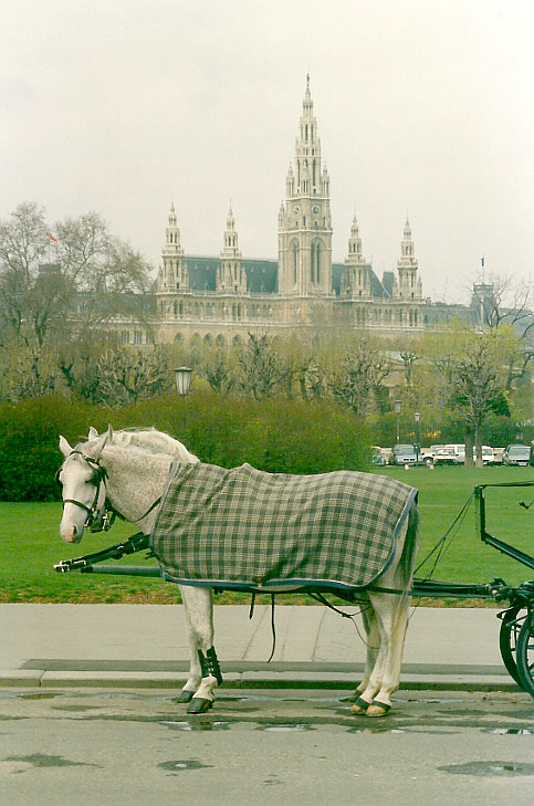 Vienna03