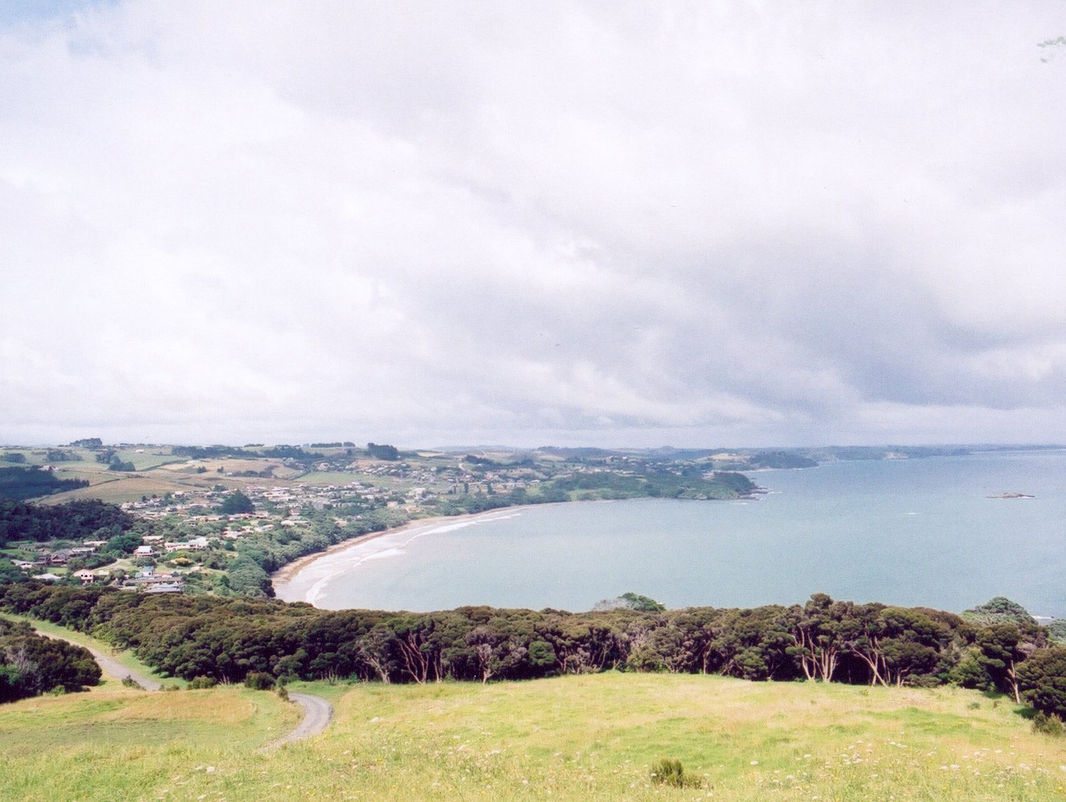 NZ15