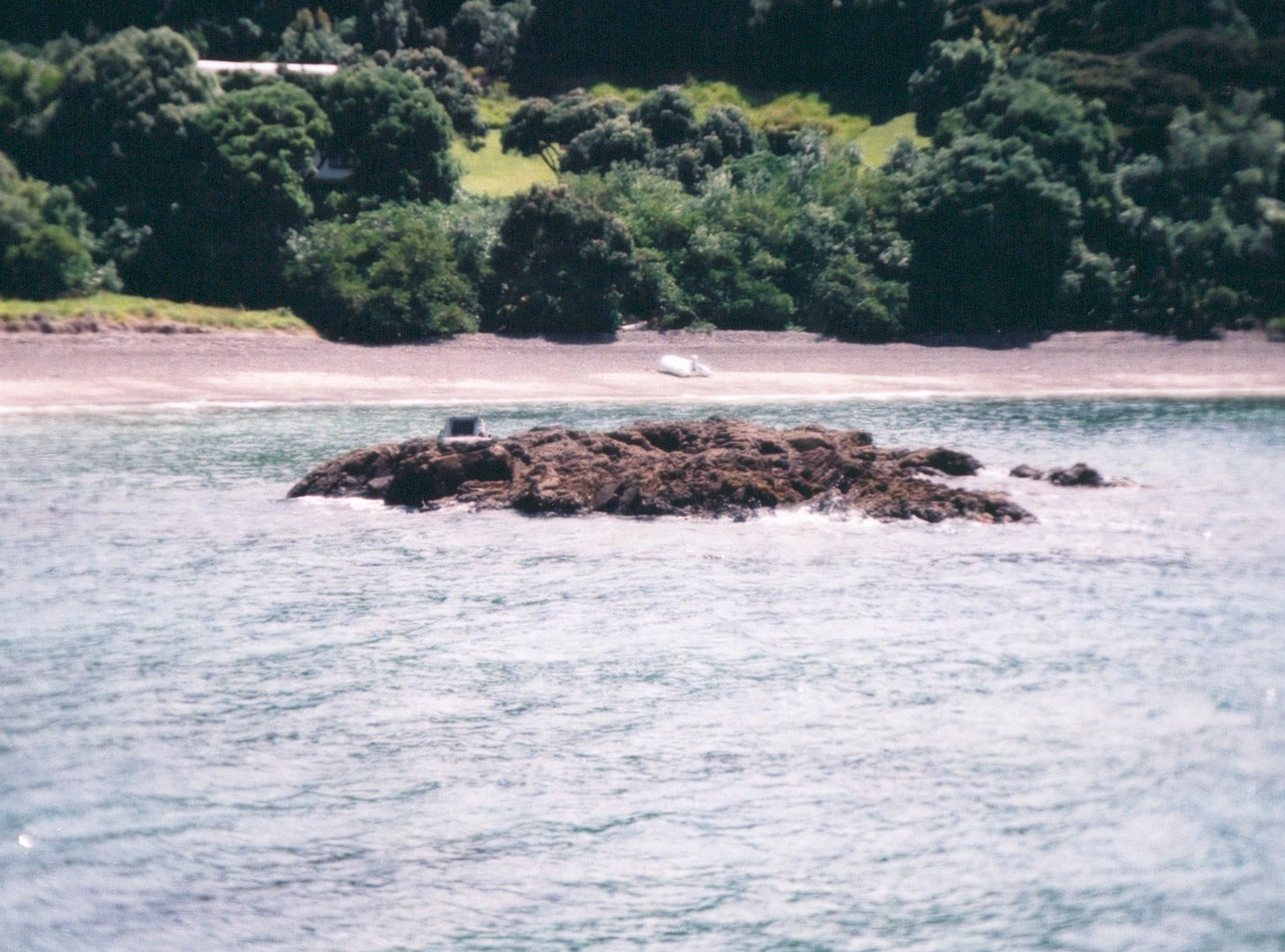 NZ16