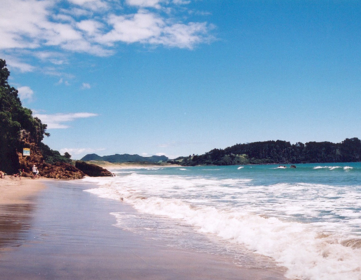 NZ17