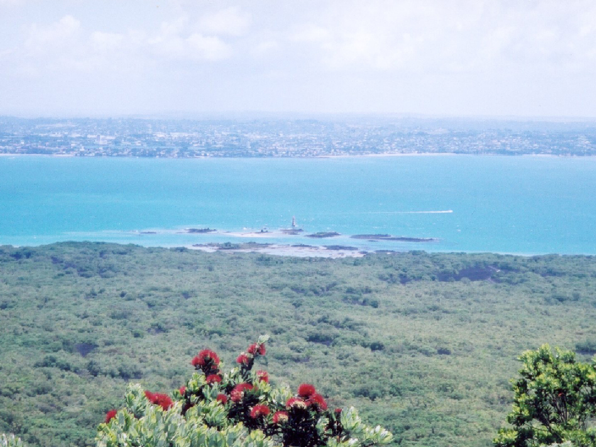 NZ3