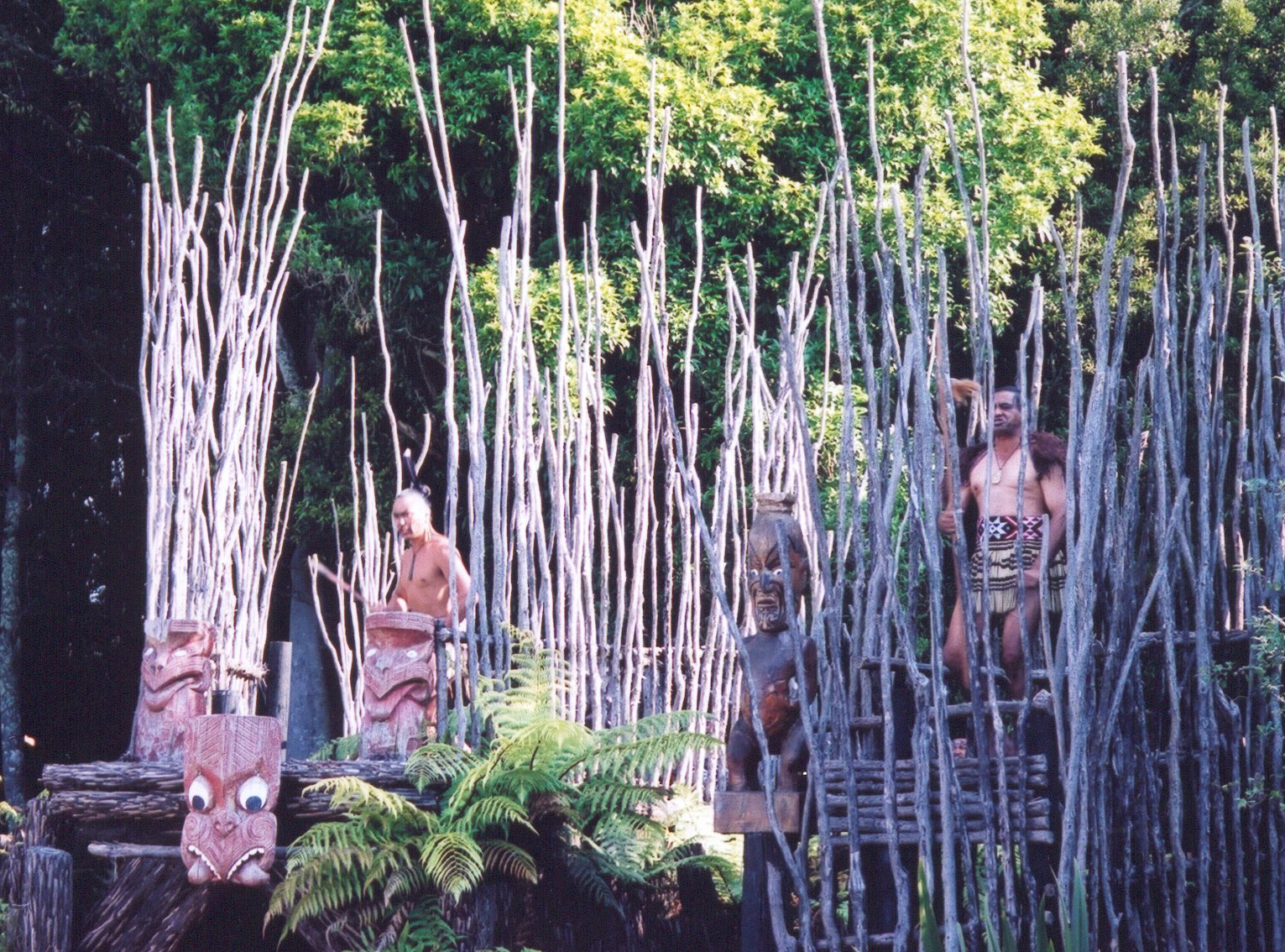 NZ15