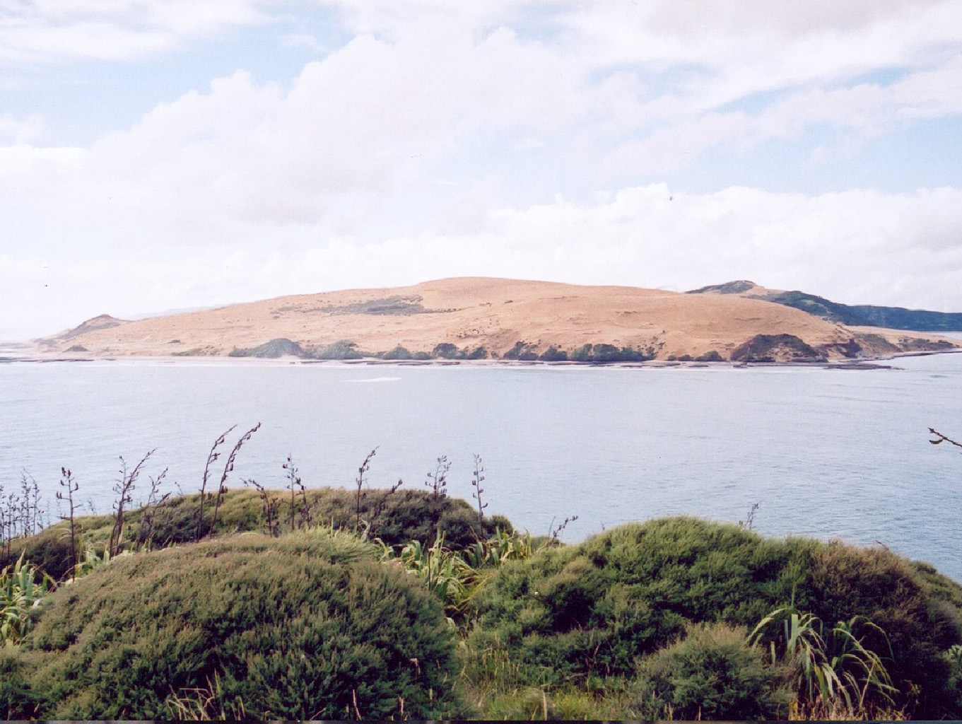 NZ15