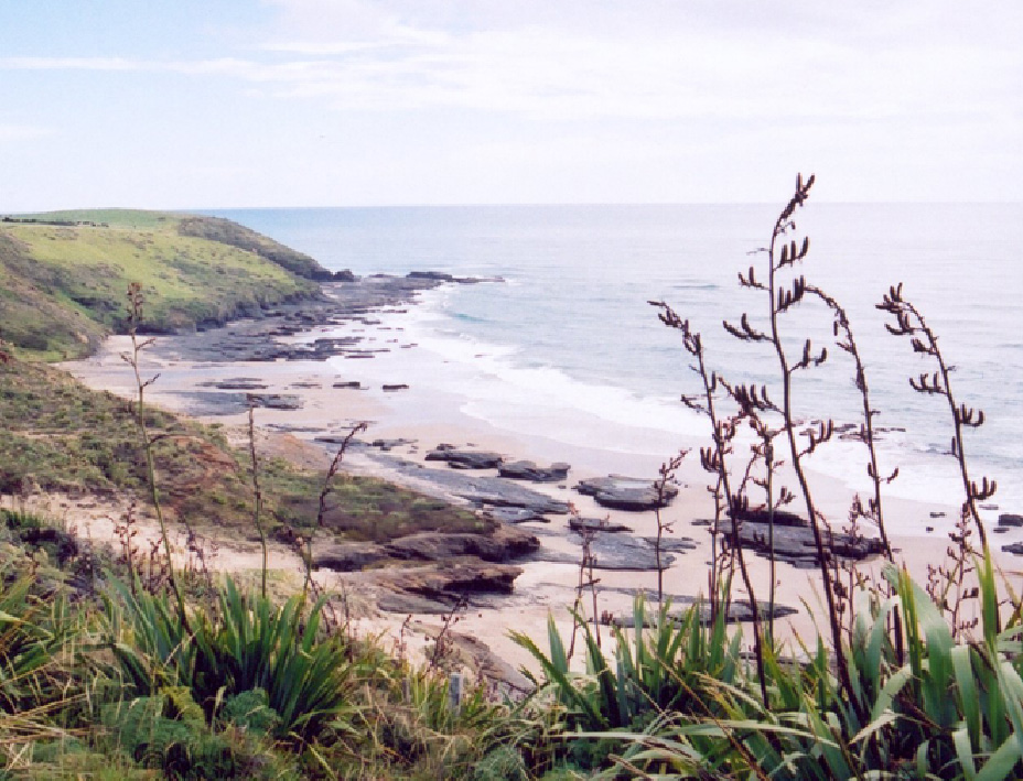 NZ15