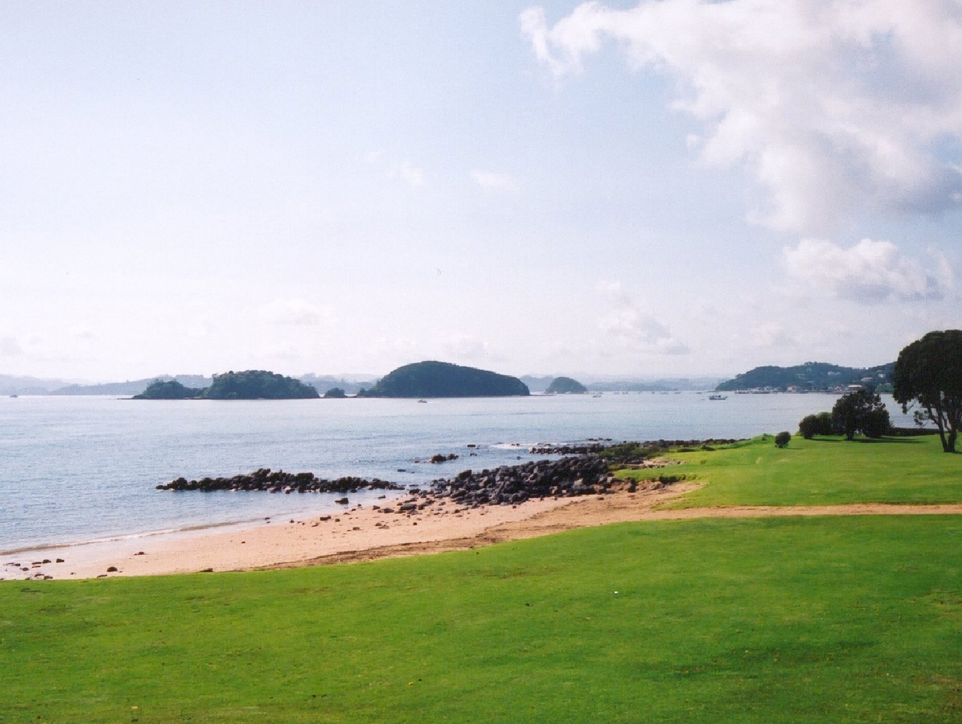 NZ15
