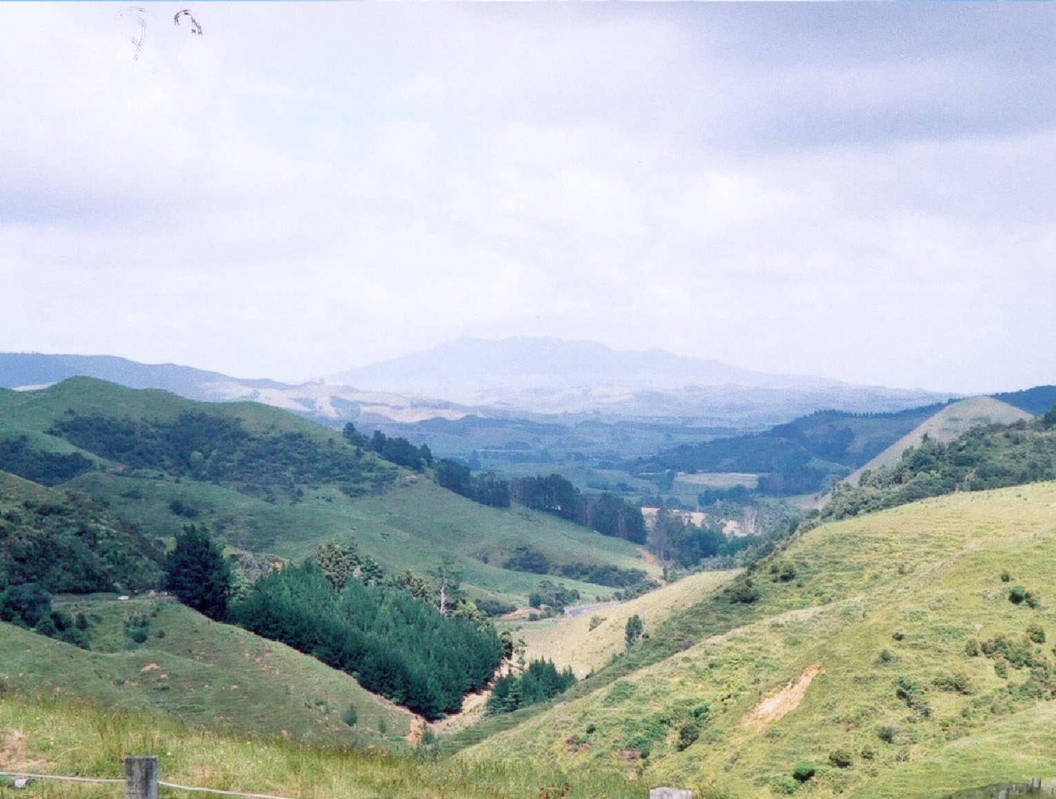 NZ15