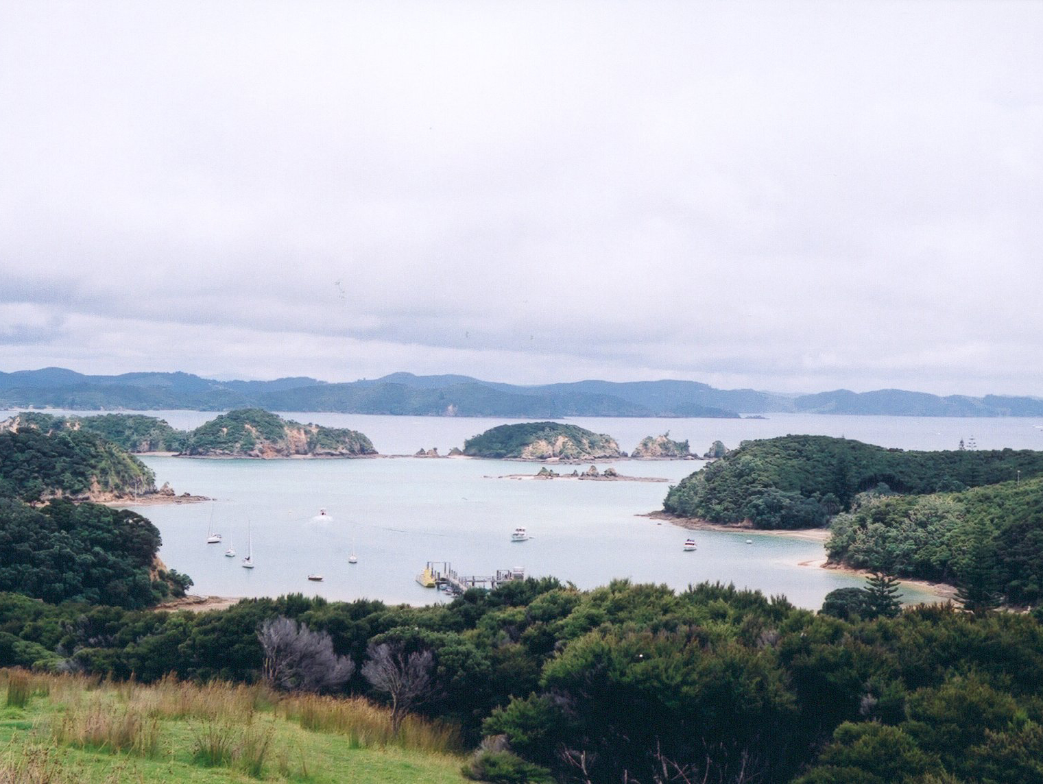 NZ8