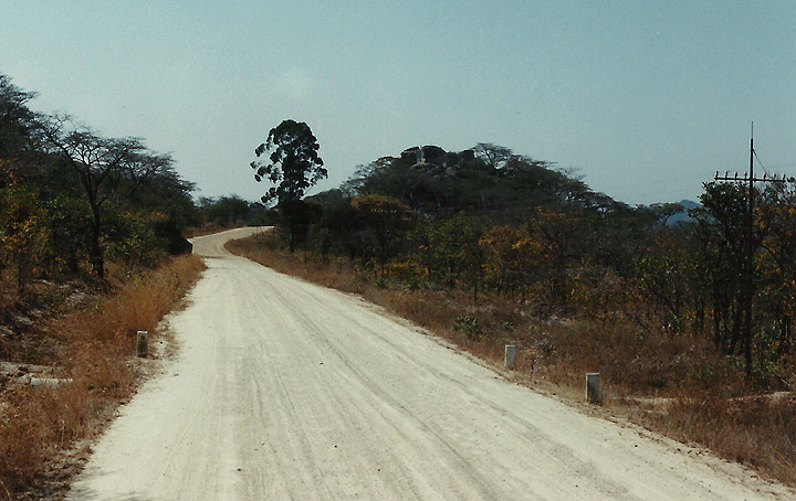  Billos Safaris Zimbabwe Z1005