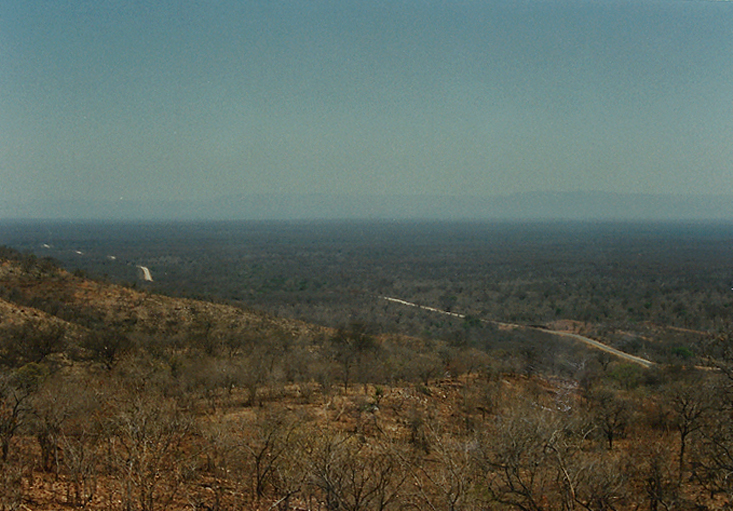  Billos Safaris Zimbabwe Z1008