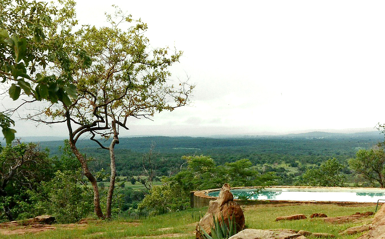 Billos Safari Zimbabwe Z11a07