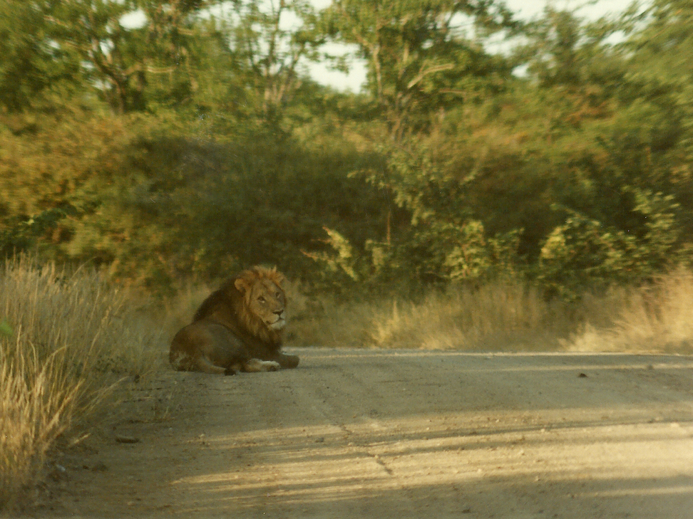  Billos Safaris Zimbabwe Z1a003