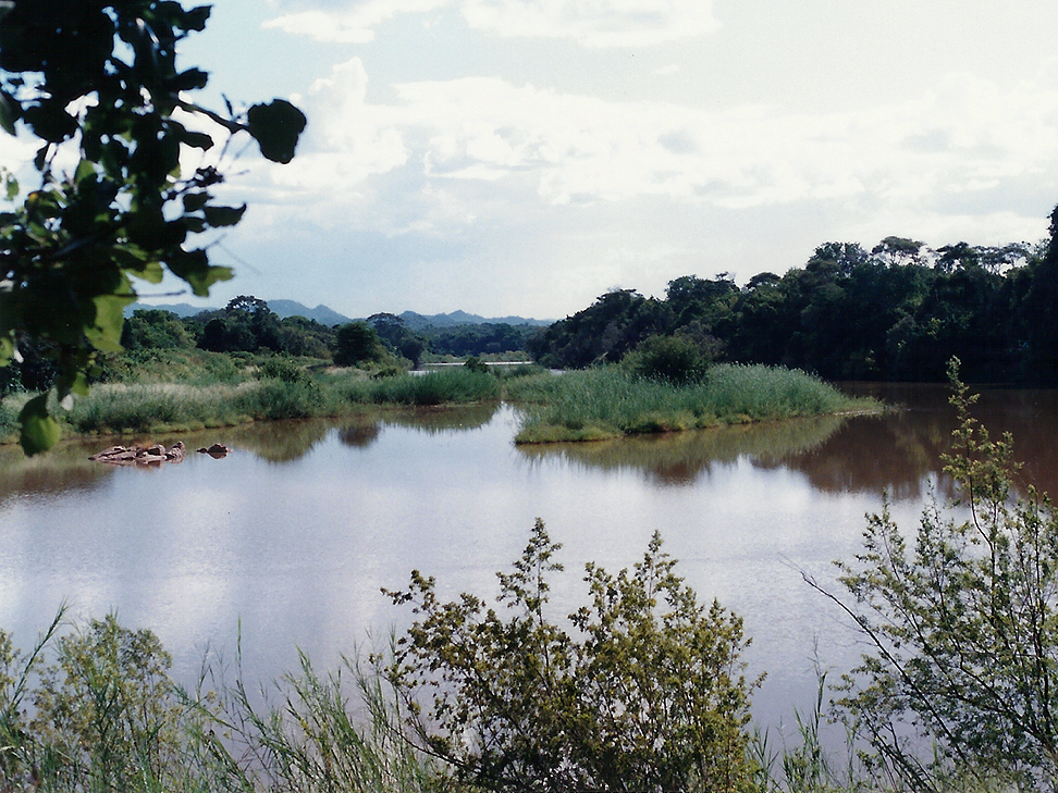  Billos Safaris Zimbabwe Z6001