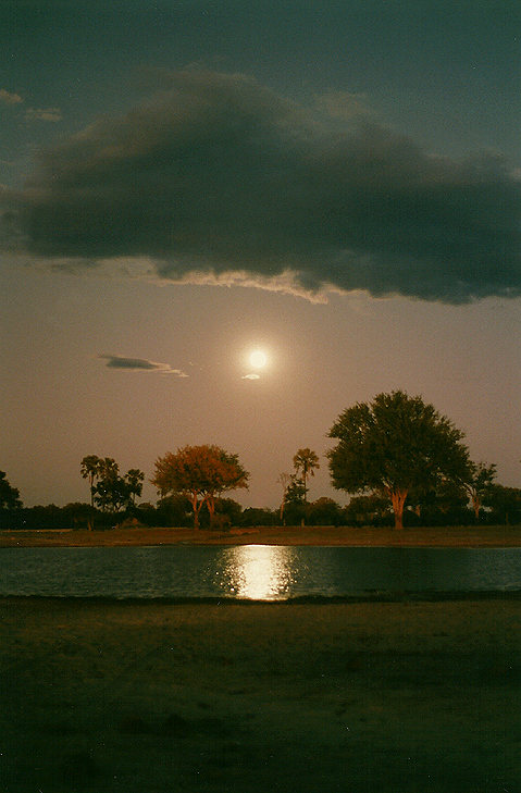  Billos Safaris Zimbabwe Z6009