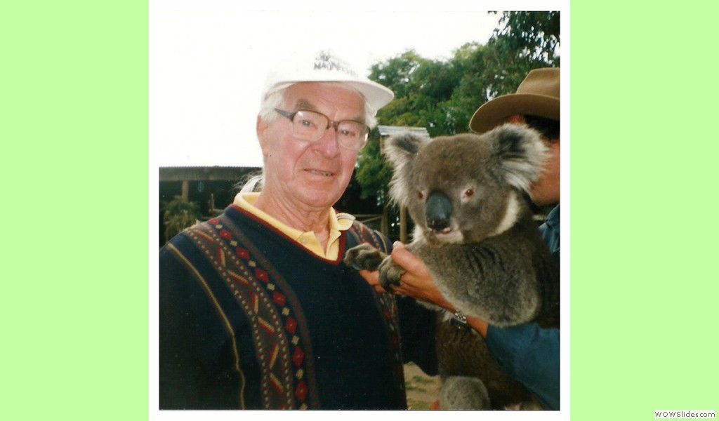 Koala 02