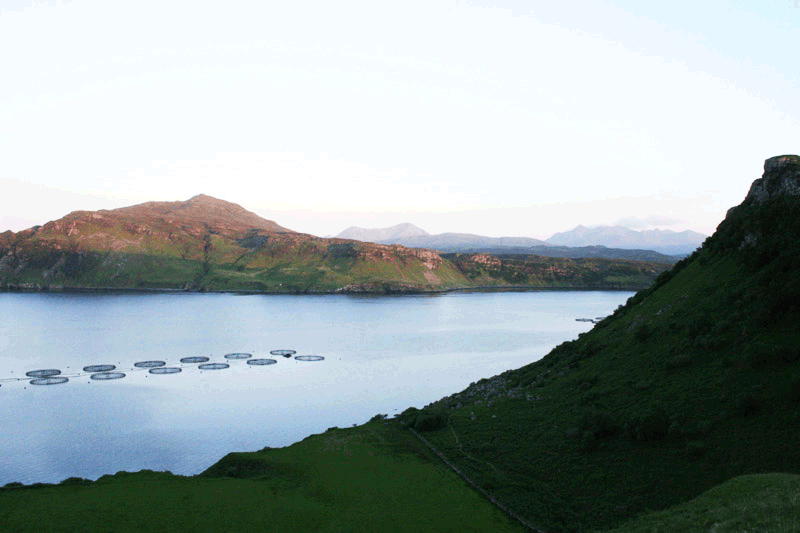  Portree 
