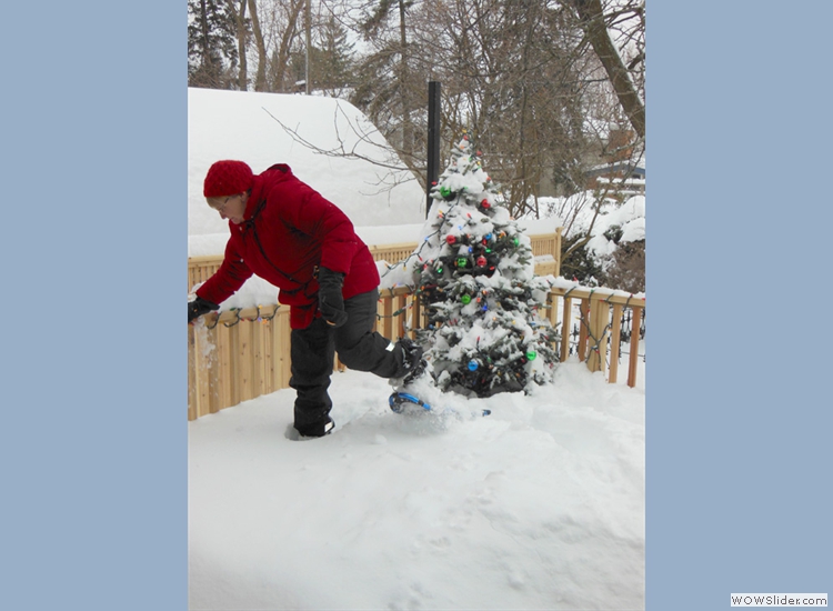 Snowshoe tree decorating...