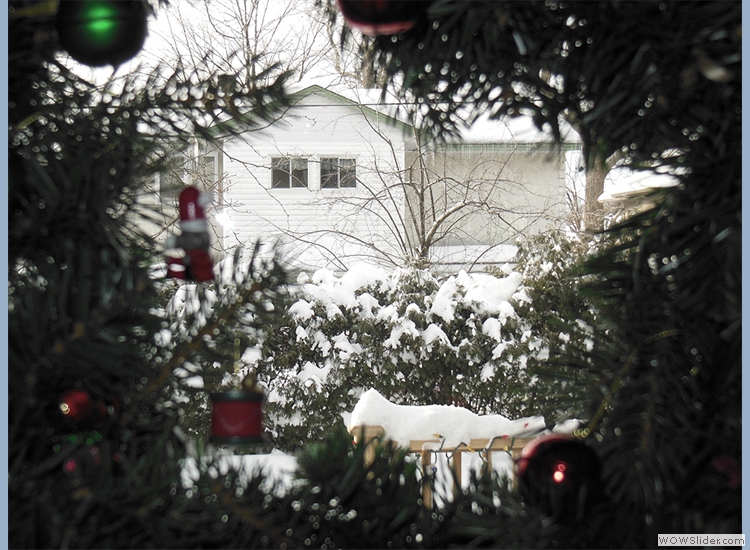 Next door wreathed in christmas?