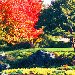 Montreal 2001