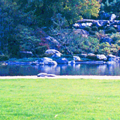 Montreal 2001