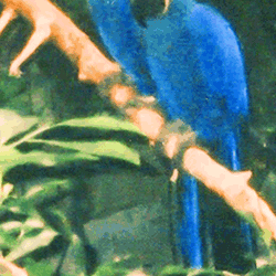 Montreal 2002