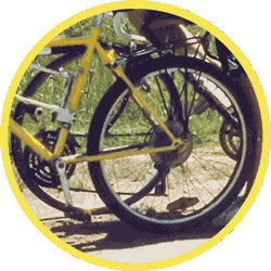 PI Honeymoon Biking